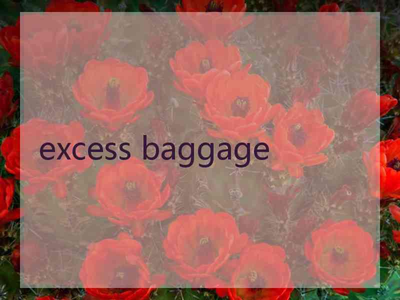 excess baggage