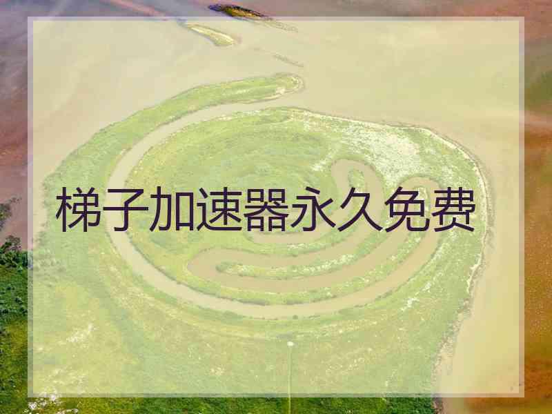 梯子加速器永久免费