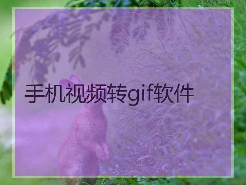 手机视频转gif软件