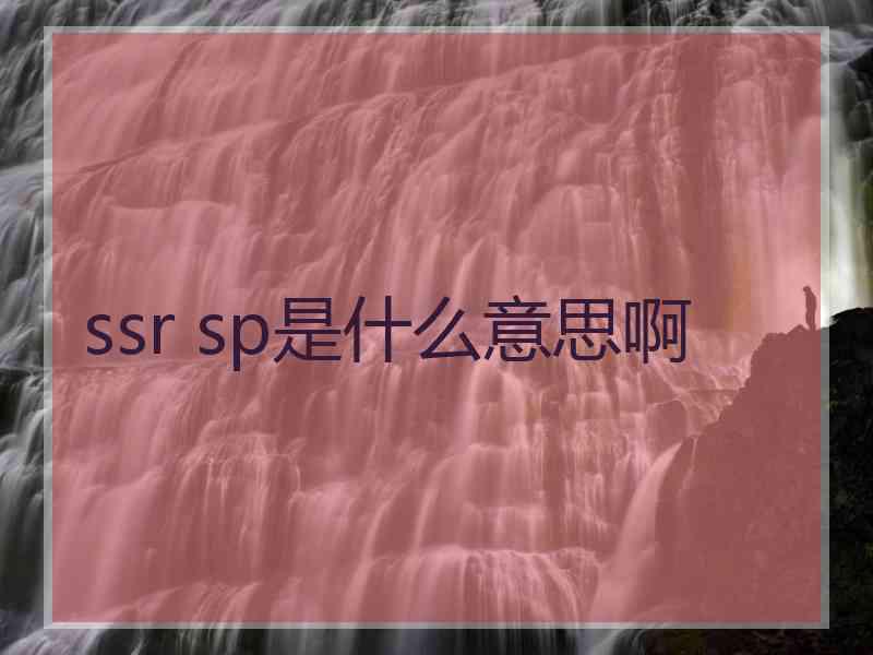 ssr sp是什么意思啊