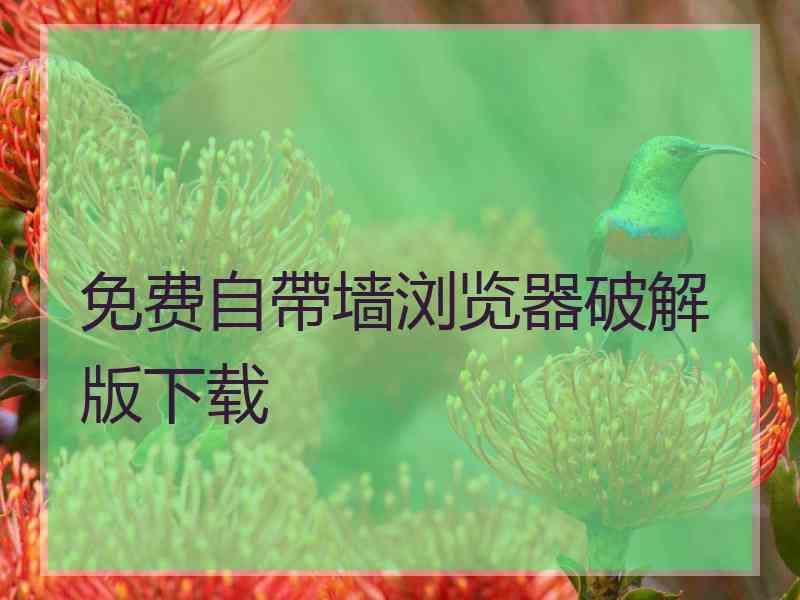 免费自帶墙浏览器破解版下载