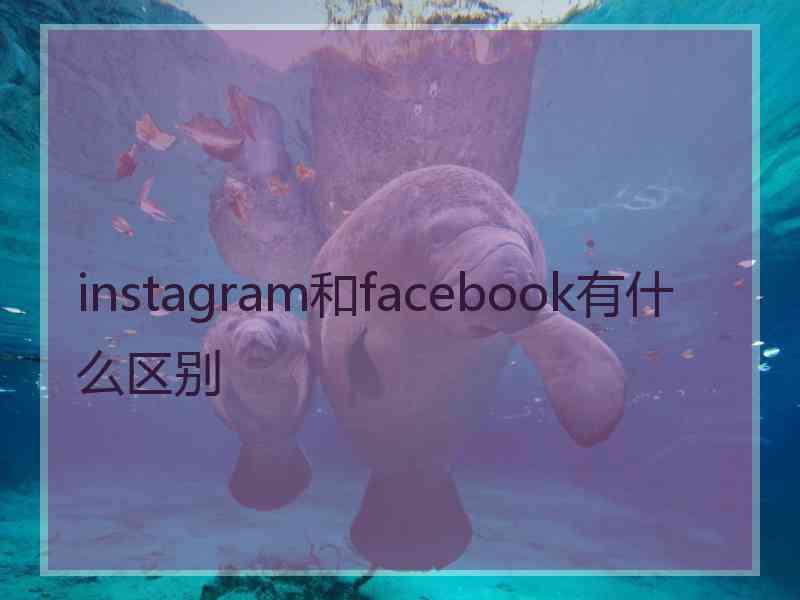 instagram和facebook有什么区别