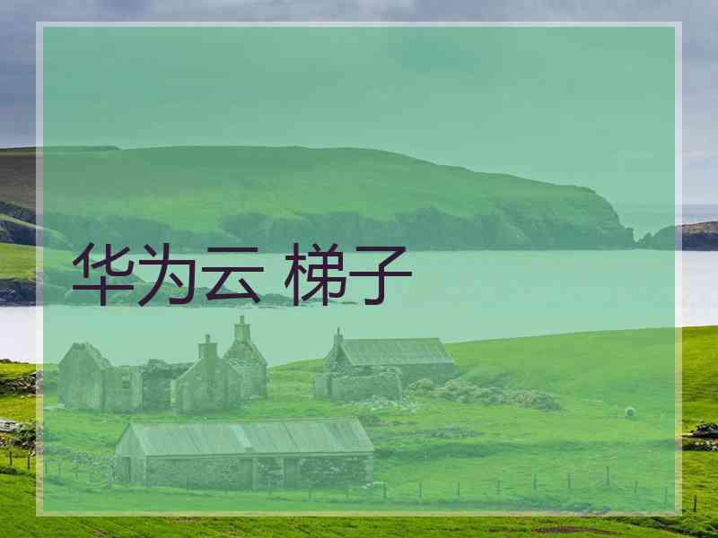 华为云 梯子