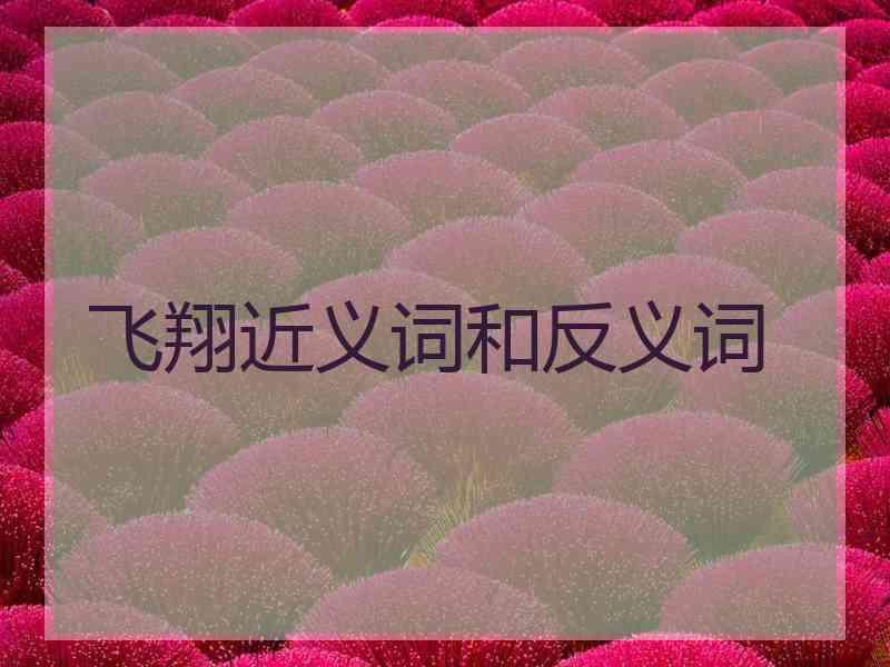 飞翔近义词和反义词